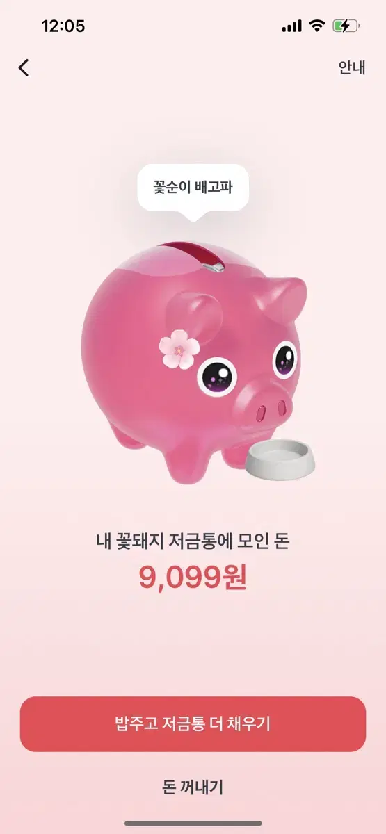 토스 꽃돼지 저금통 1000원